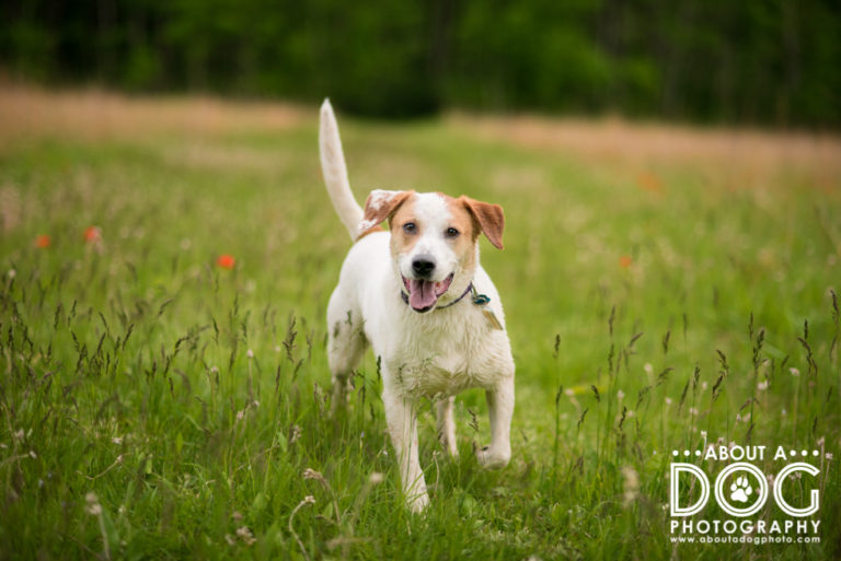 Josie | St. Cloud MN-7