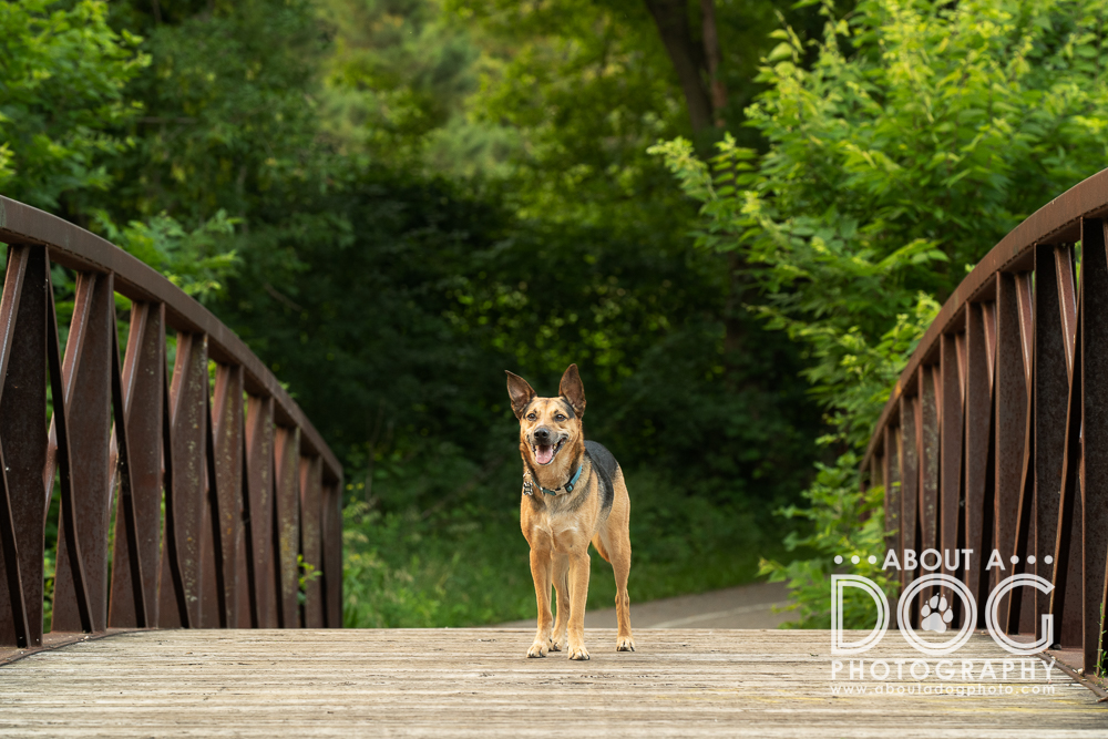 DSC_6755-Edit