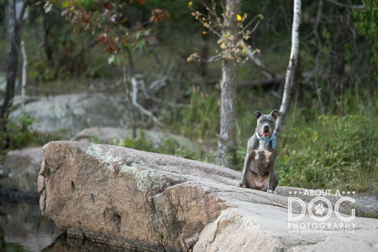 DSC_7689-Edit