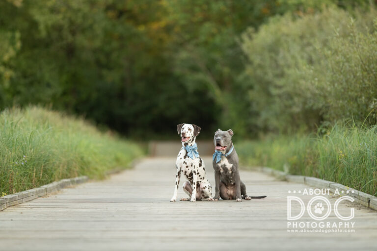 DSC_8067-Edit