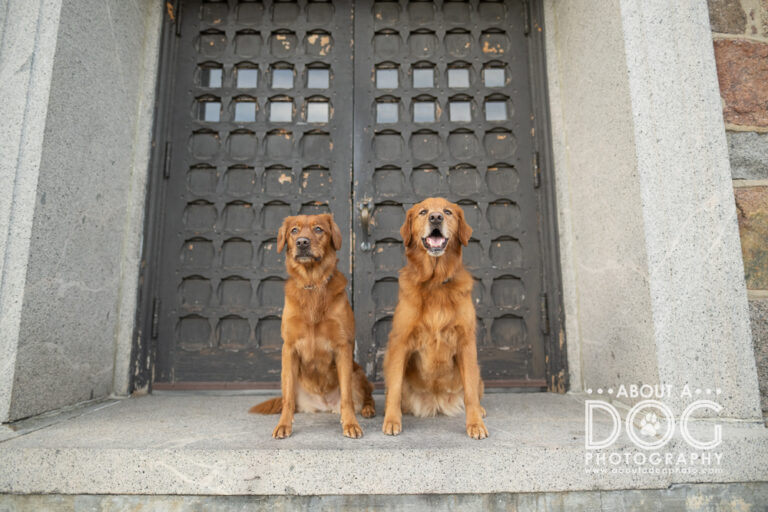 DSC_8800-Edit