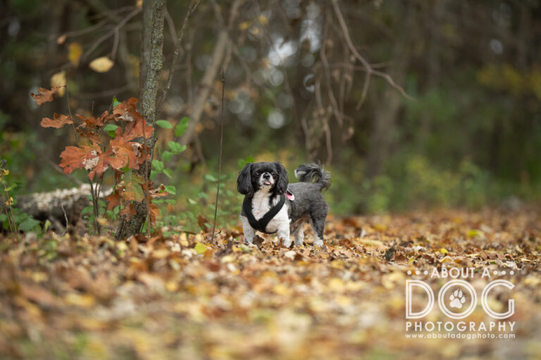 DSC_8958-Edit